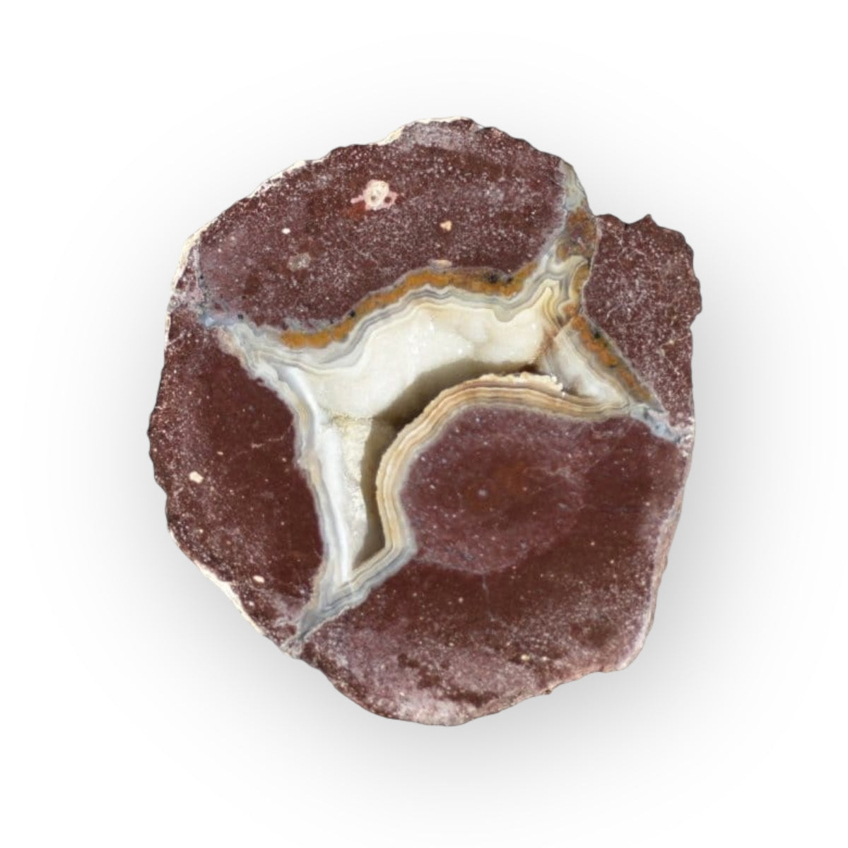 Coyamo Thunder Egg 01-1-1B - Del Rey Agates Gems & Minerals Inc.