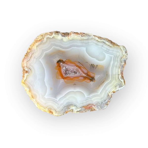 【コレクターズアイテム】ラグーナアゲート LAGUNA AGATES - Del Rey Agates Gems & Minerals Inc.