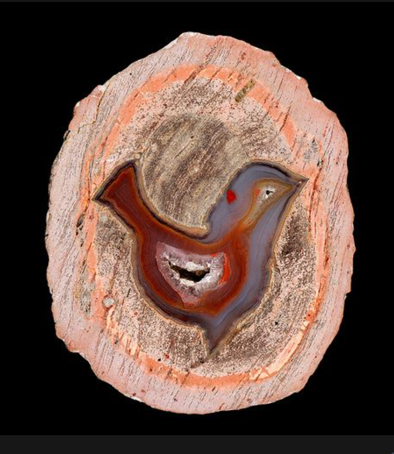 The art Behind Cutting and Polishing Agates