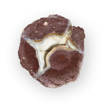 COYAMO THUNDEREGGS