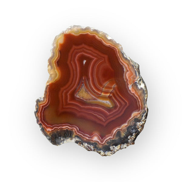 LAGUNA AGATES - Del Rey Agates Gems & Minerals Inc.