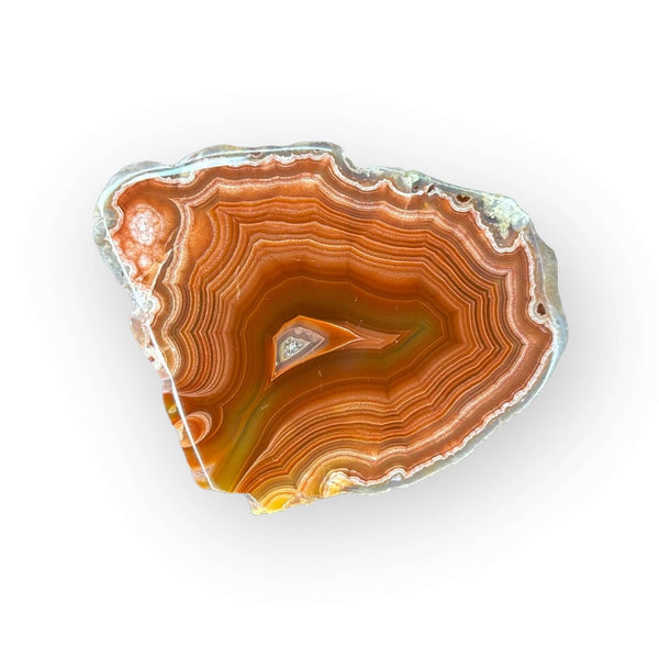 FEATURED AGATES