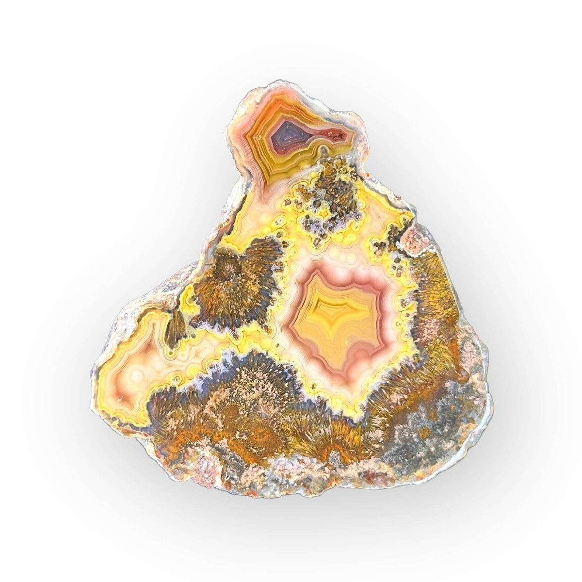 LAGUNA AGATE 001 - Del Rey Agates Gems & Minerals Inc.