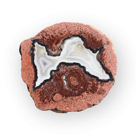 Del Rey Thunder eggs FB01-10B - Del Rey Agates Gems & Minerals Inc.