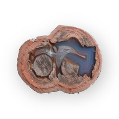 Laguna Thunder Egg 01-04A - Del Rey Agates Gems & Minerals Inc.