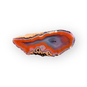 Coyamito Agate 01-FB01-9A - Del Rey Agates Gems & Minerals Inc.
