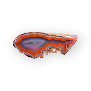 Coyamito Agate 01-FB01-9B - Del Rey Agates Gems & Minerals Inc.