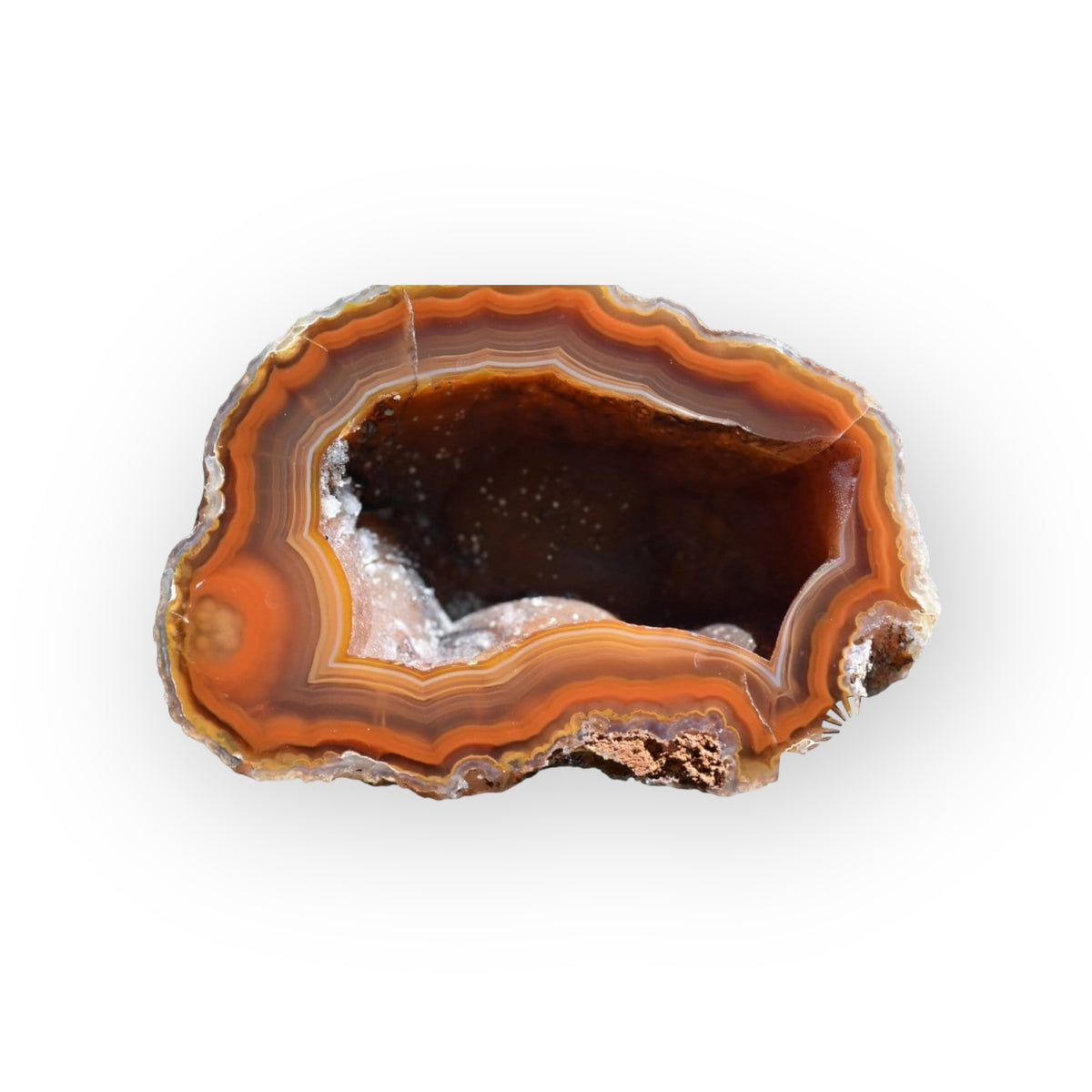 Coyamito Agate 01-FB01-7B - Del Rey Agates Gems & Minerals Inc.