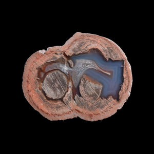 Laguna Thunder Egg 01-04A - Del Rey Agates Gems & Minerals Inc.