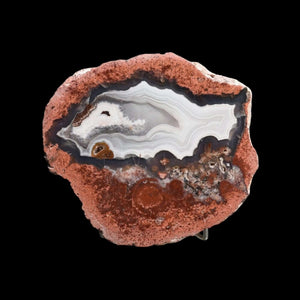 Del Rey Thunder eggs FB01-12B - Del Rey Agates Gems & Minerals Inc.