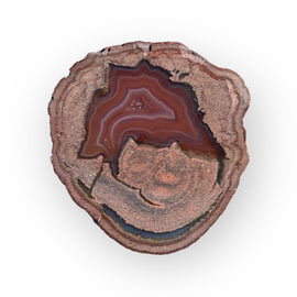 Laguna Thunder Egg 01-01B - Del Rey Agates Gems & Minerals Inc.