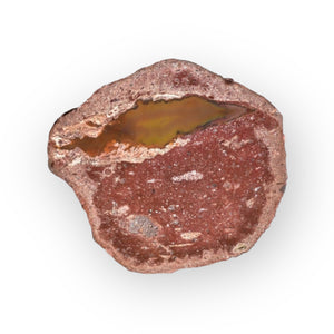 Janos Thunder egg FB01-02B - Del Rey Agates Gems & Minerals Inc.