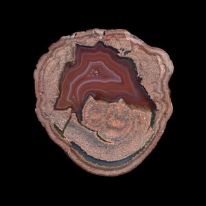 Laguna Thunder Egg 01-01B - Del Rey Agates Gems & Minerals Inc.