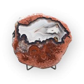 Del Rey Thunder eggs FB01-12A - Del Rey Agates Gems & Minerals Inc.