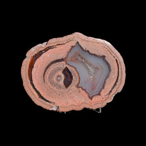Laguna Thunder Egg 01-06B - Del Rey Agates Gems & Minerals Inc.