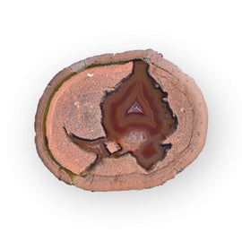 Laguna Thunder Egg 01-05A - Del Rey Agates Gems & Minerals Inc.