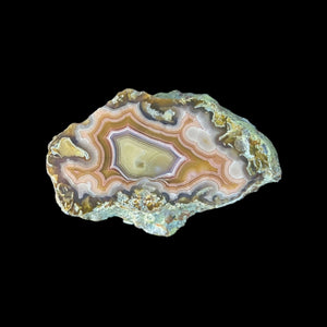 LAGUNA AGATE 217 - Del Rey Agates Gems & Minerals Inc.