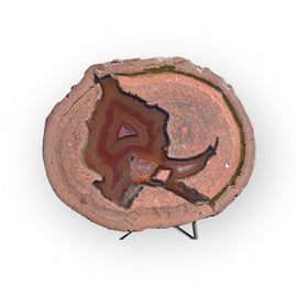 Laguna Thunder Egg 01-05B - Del Rey Agates Gems & Minerals Inc.