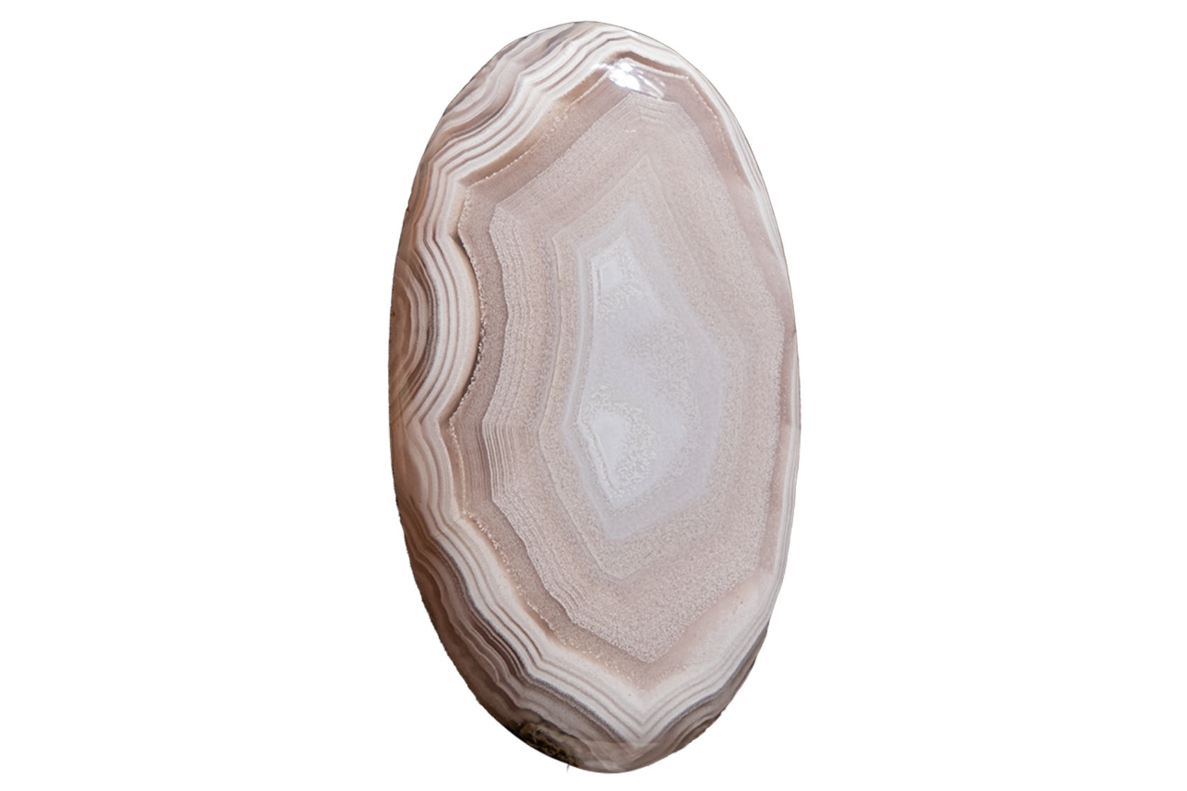 A polished oval agate stone cabochon with concentric banding in shades of beige, cream, and light brown, shown on a solid white background.