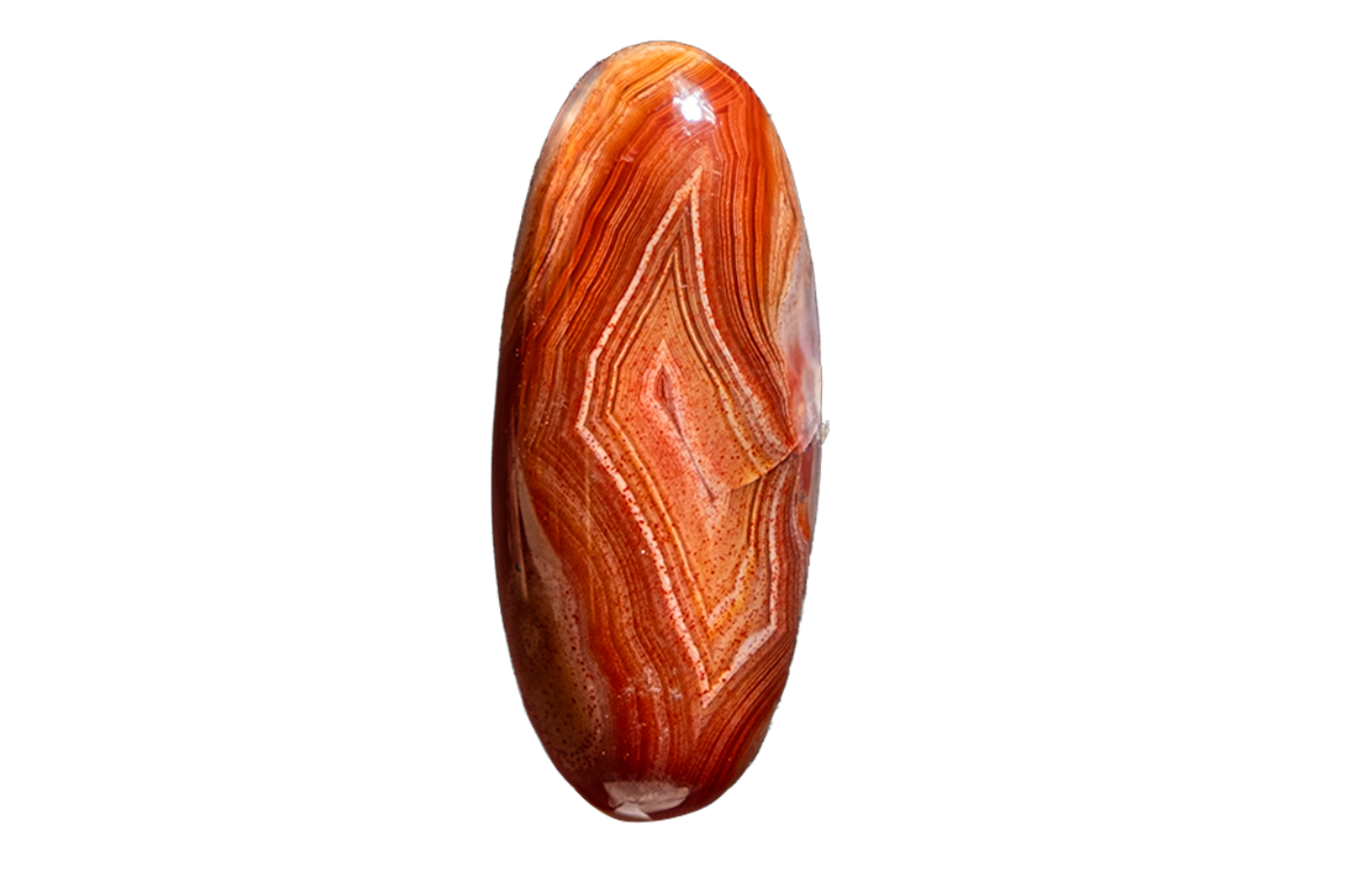 A polished oval gemstone cabochon with natural agate-like banding in shades of reddish-brown, orange, and cream, isolated on a solid white background.