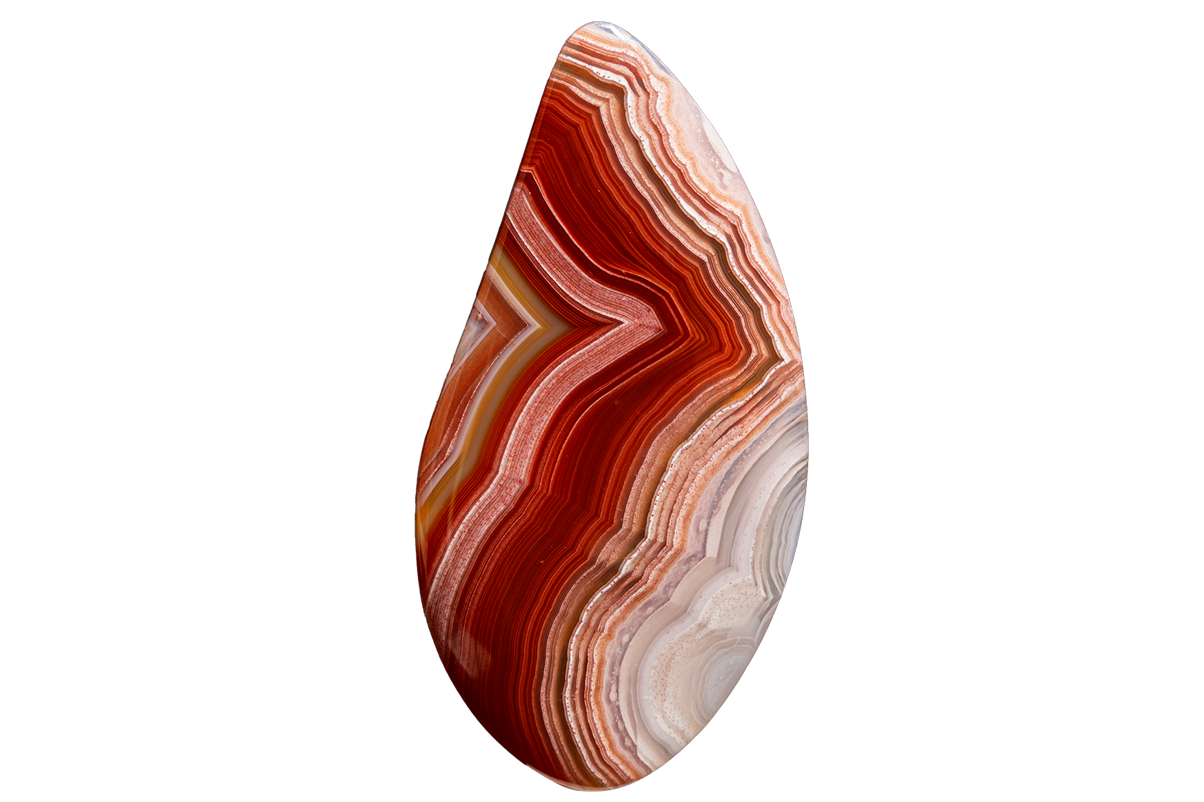 A polished teardrop-shaped agate cabochon with intricate banding of red, orange, brown, and cream, isolated on a solid white background.