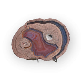 Laguna Thunder Egg 01-03B - Del Rey Agates Gems & Minerals Inc.