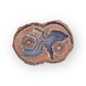 Laguna Thunder Egg 01-02A - Del Rey Agates Gems & Minerals Inc.