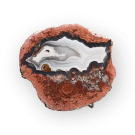 Del Rey Thunder eggs FB01-12B - Del Rey Agates Gems & Minerals Inc.