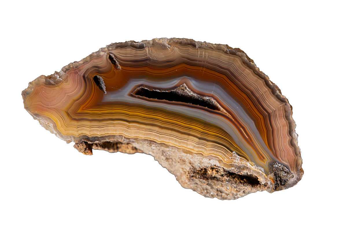 A polished slice of agate or banded stone with concentric bands of brown, tan, cream, gray, and black, shown on a plain white background.