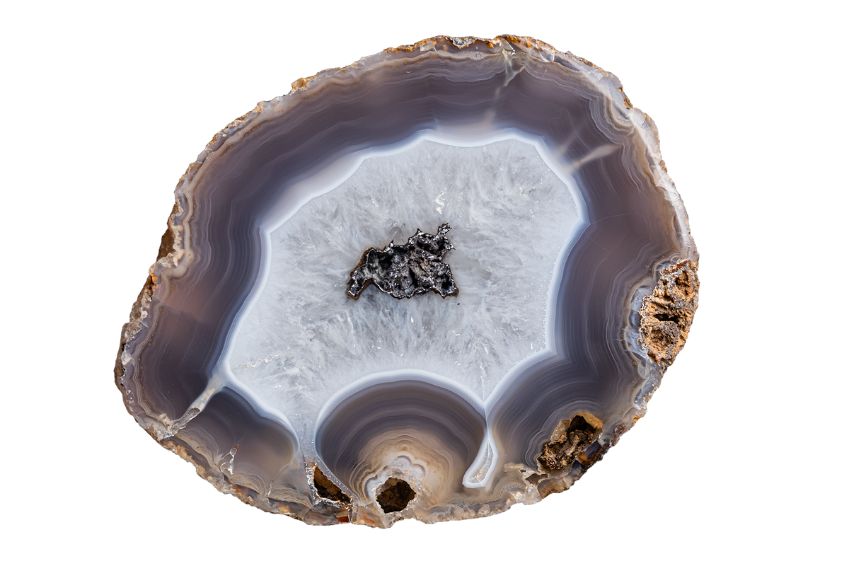 A polished slice of agate geode showing concentric bands of gray, white, and brown with a small dark crystal cluster in the center, isolated on a white background.