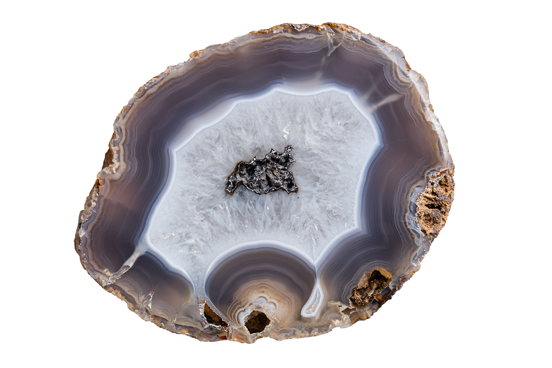 A polished slice of agate geode showing concentric bands of gray, white, and brown with a small dark crystal cluster in the center, isolated on a white background.