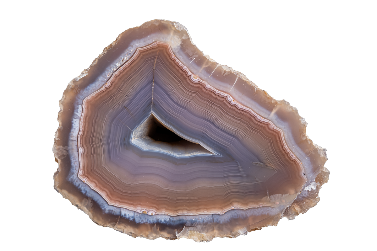 A polished cross-section of an agate geode slice, displaying concentric bands of brown, lavender-purple, gray, and white, with a dark triangular cavity in the center, isolated on a white background.