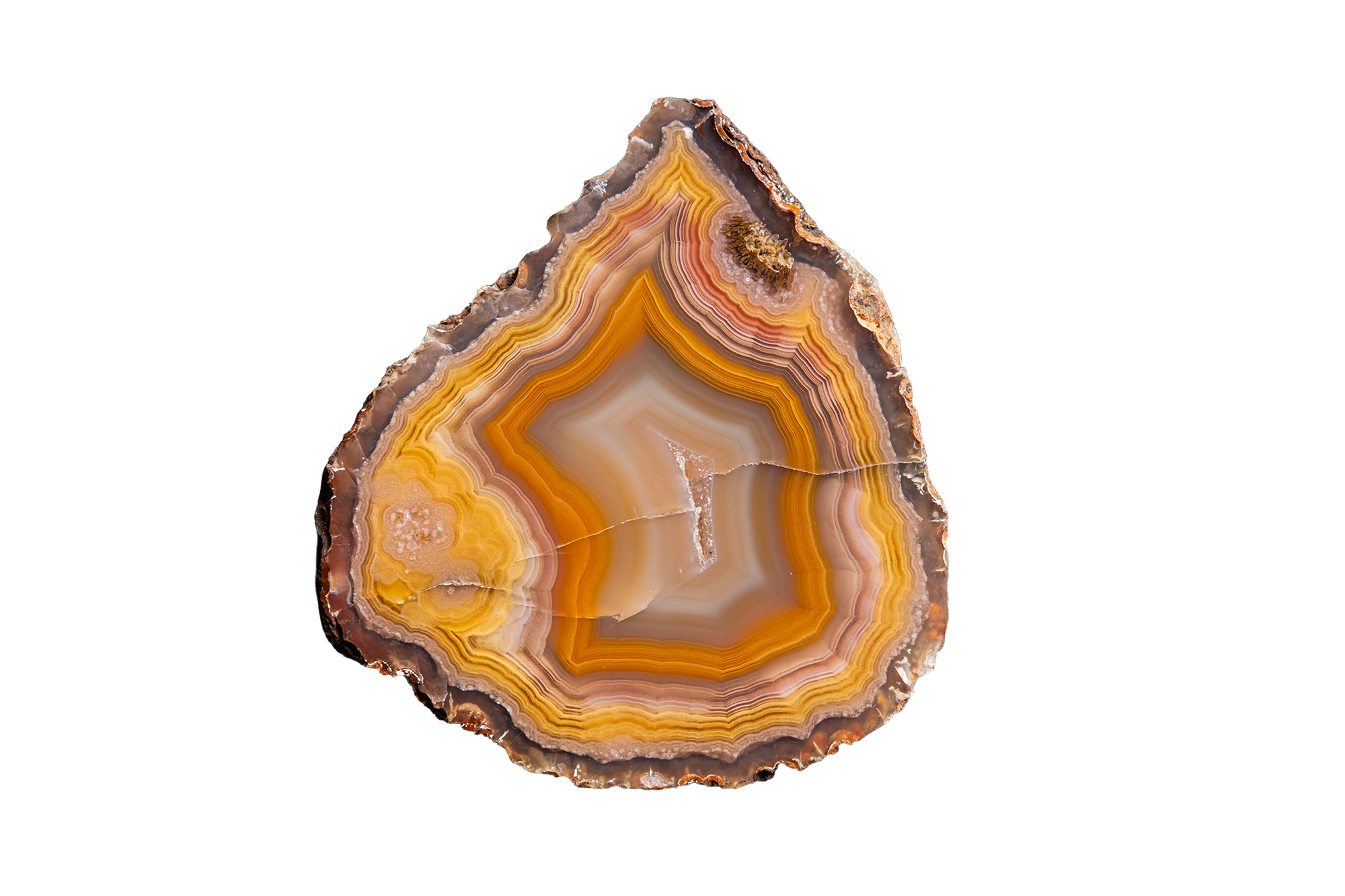 CYMB02-06b | COYAMITO AGATE