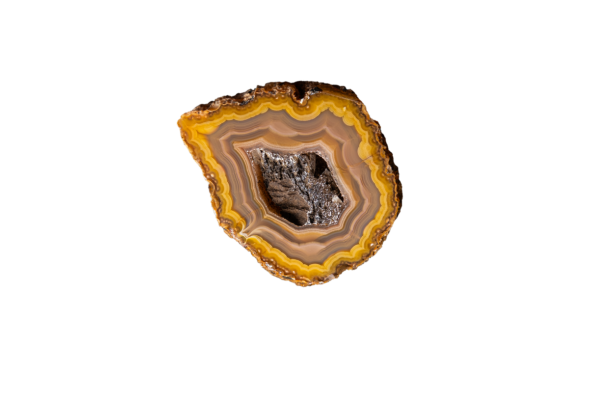 A polished slice of agate or banded stone with concentric bands of yellow, orange, brown, and gray, featuring a dark central cavity, isolated on a white background.