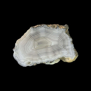LAGUNA AGATE 064 - Del Rey Agates Gems & Minerals Inc.