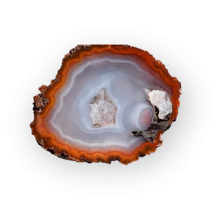 Coyamito Agate 01-FB01-3B - Del Rey Agates Gems & Minerals Inc.