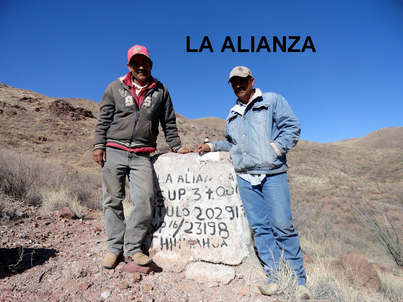 updates, information, and news!