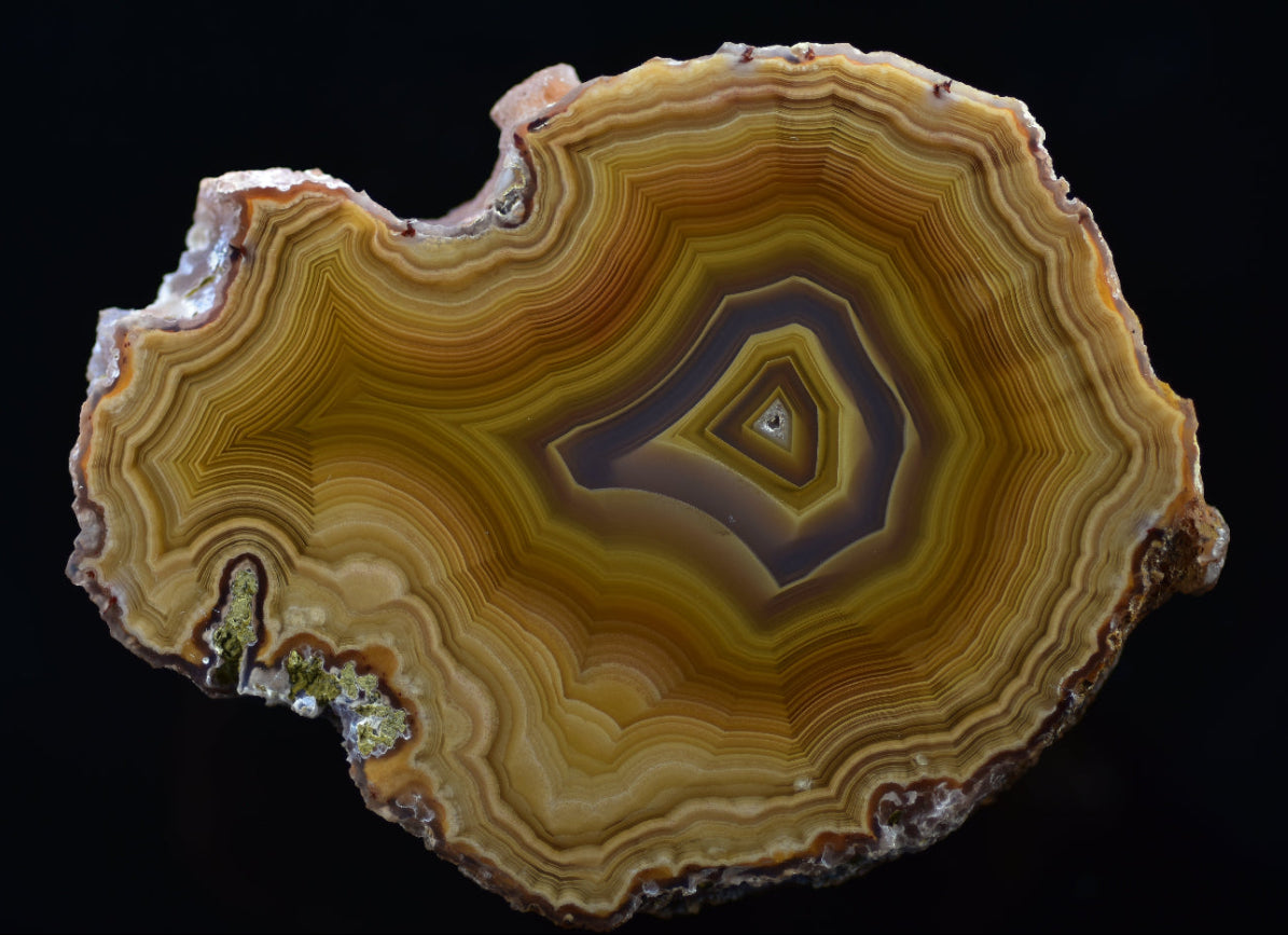agate specimen with concentric layers on a black background