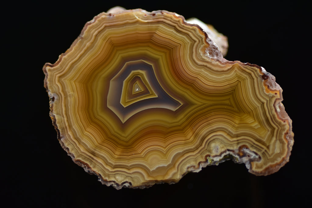 Close-up of a layered agate stone on a black background
