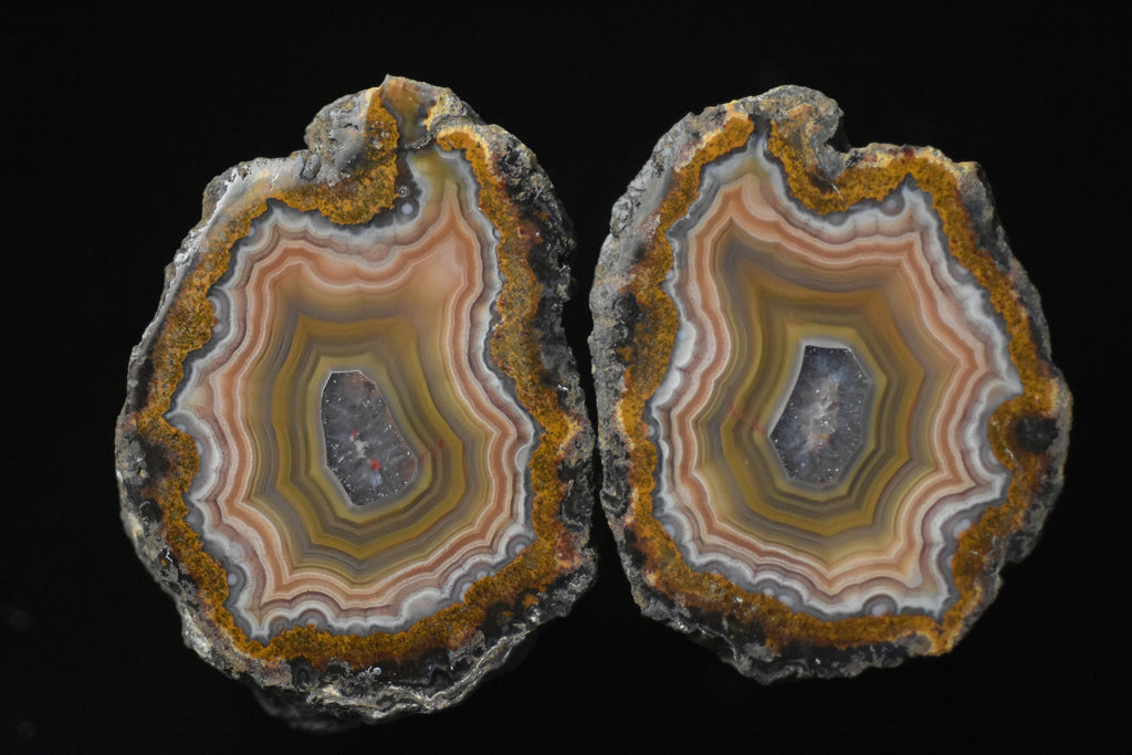 Two agate slices with colorful concentric layers on a black background