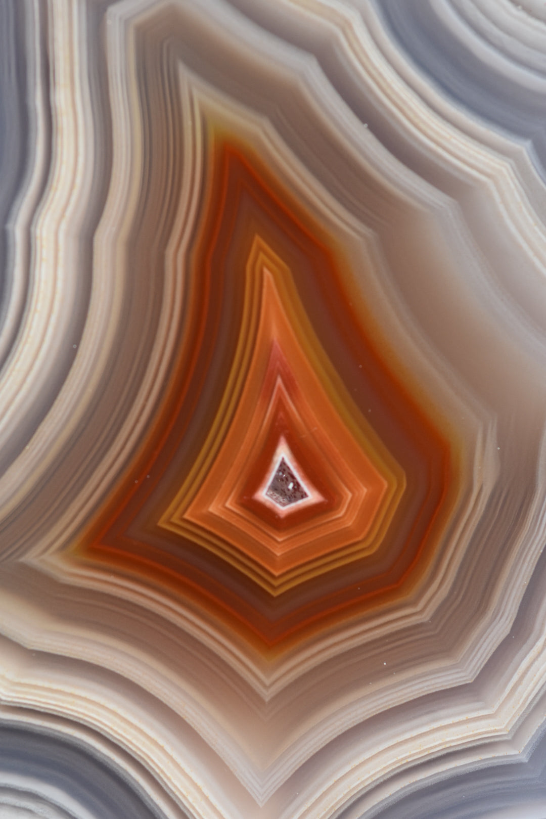 Close-up of a layered, multicolored stone with concentric circular patterns.