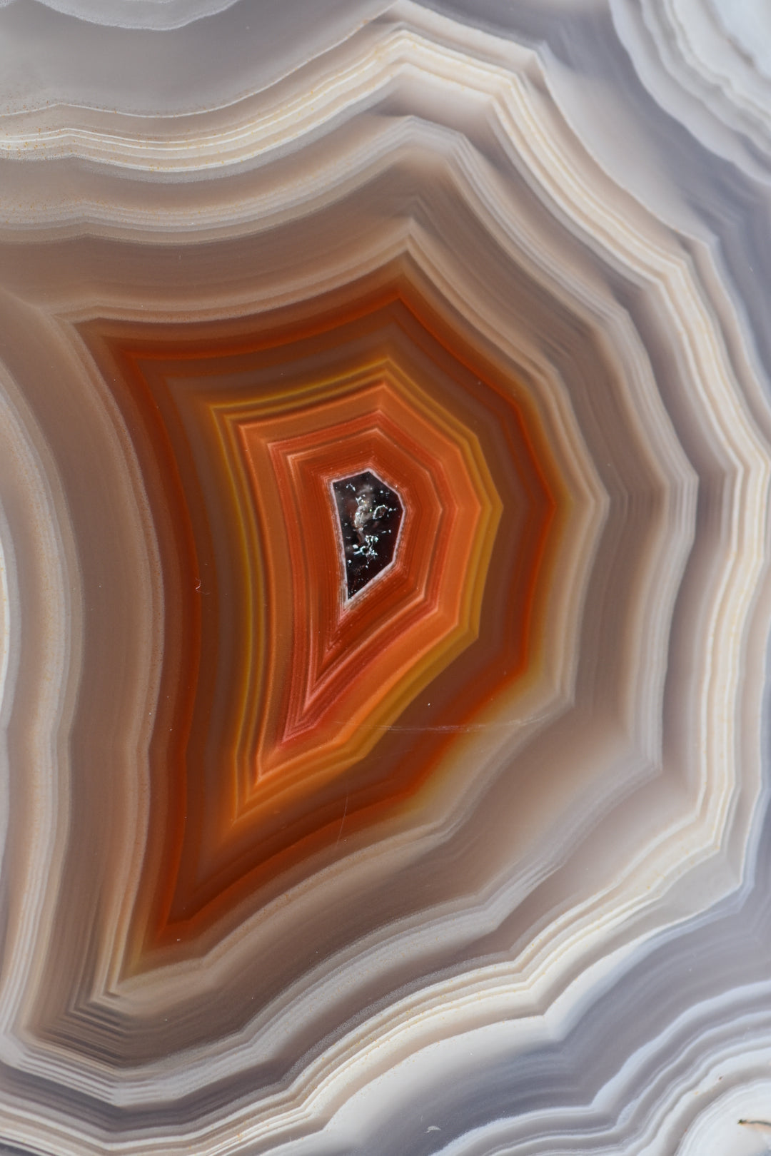 Close-up of a layered agate stone with orange and gray patterns