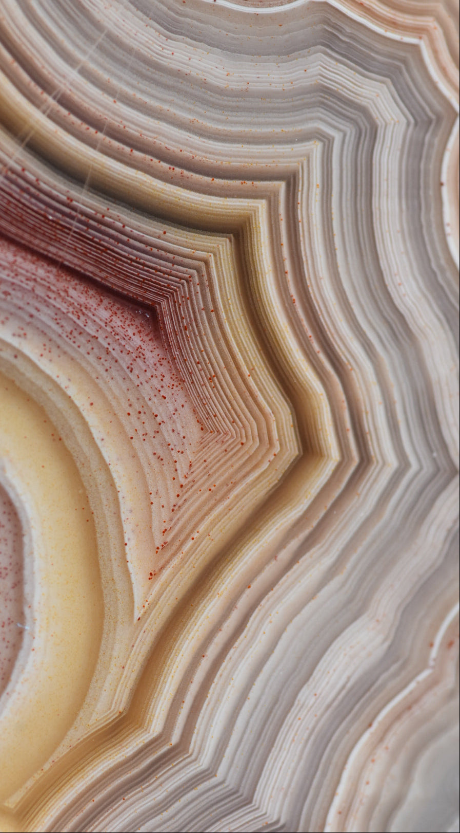 Close-up of a layered agate stone with concentric circles.