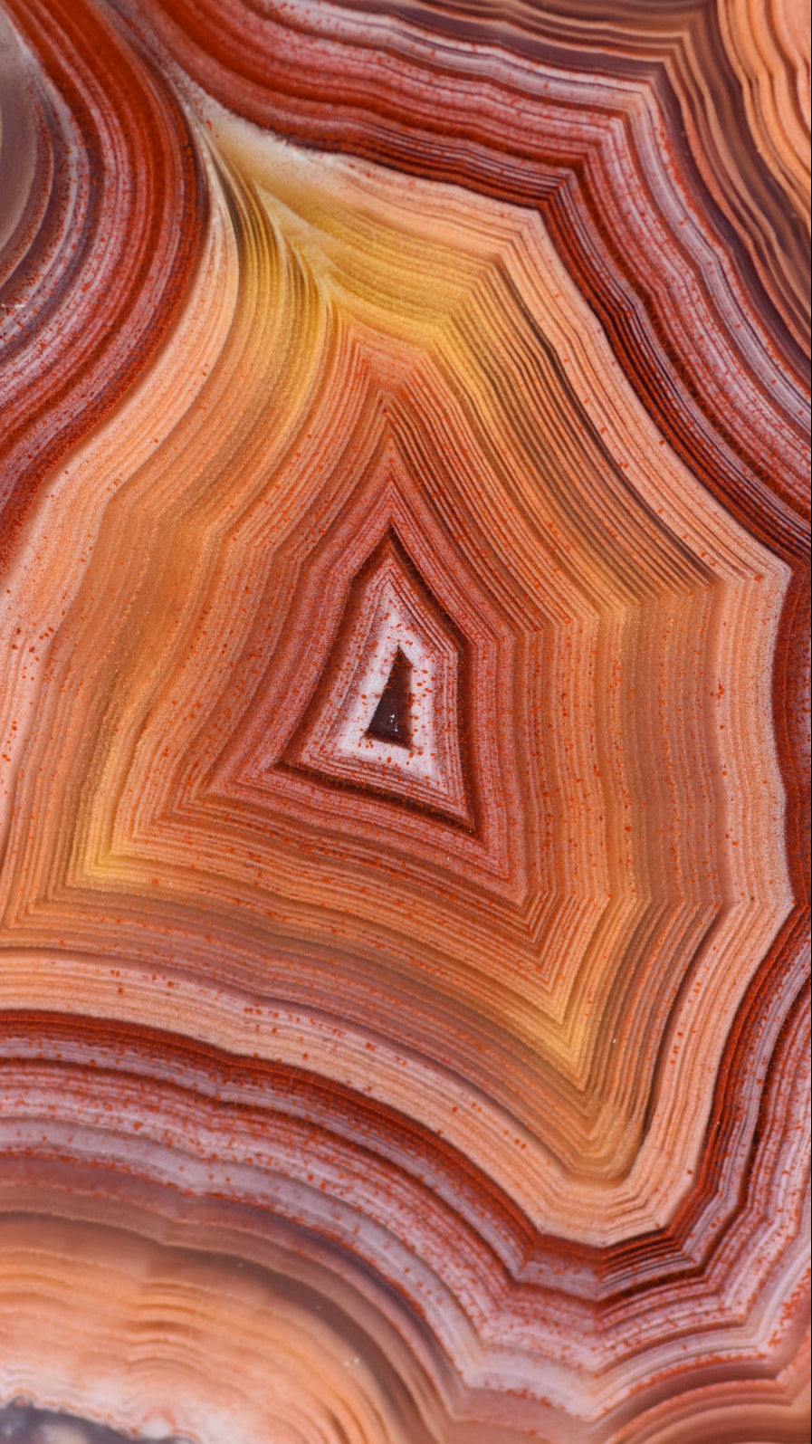 Close-up of a layered rock with red, orange, and brown colors