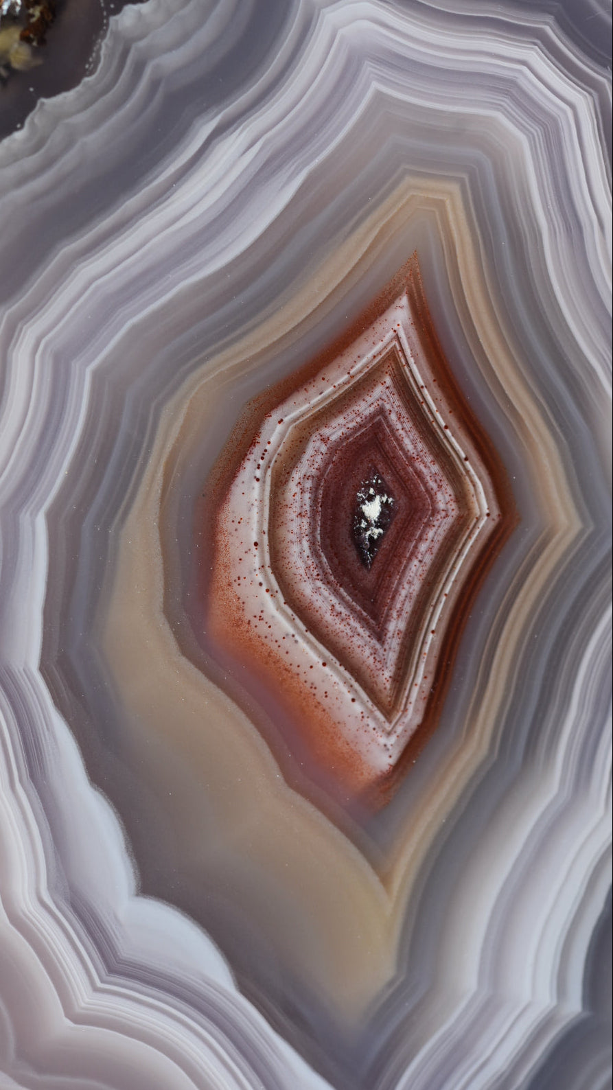 Close-up of a layered agate stone with concentric circles of color.