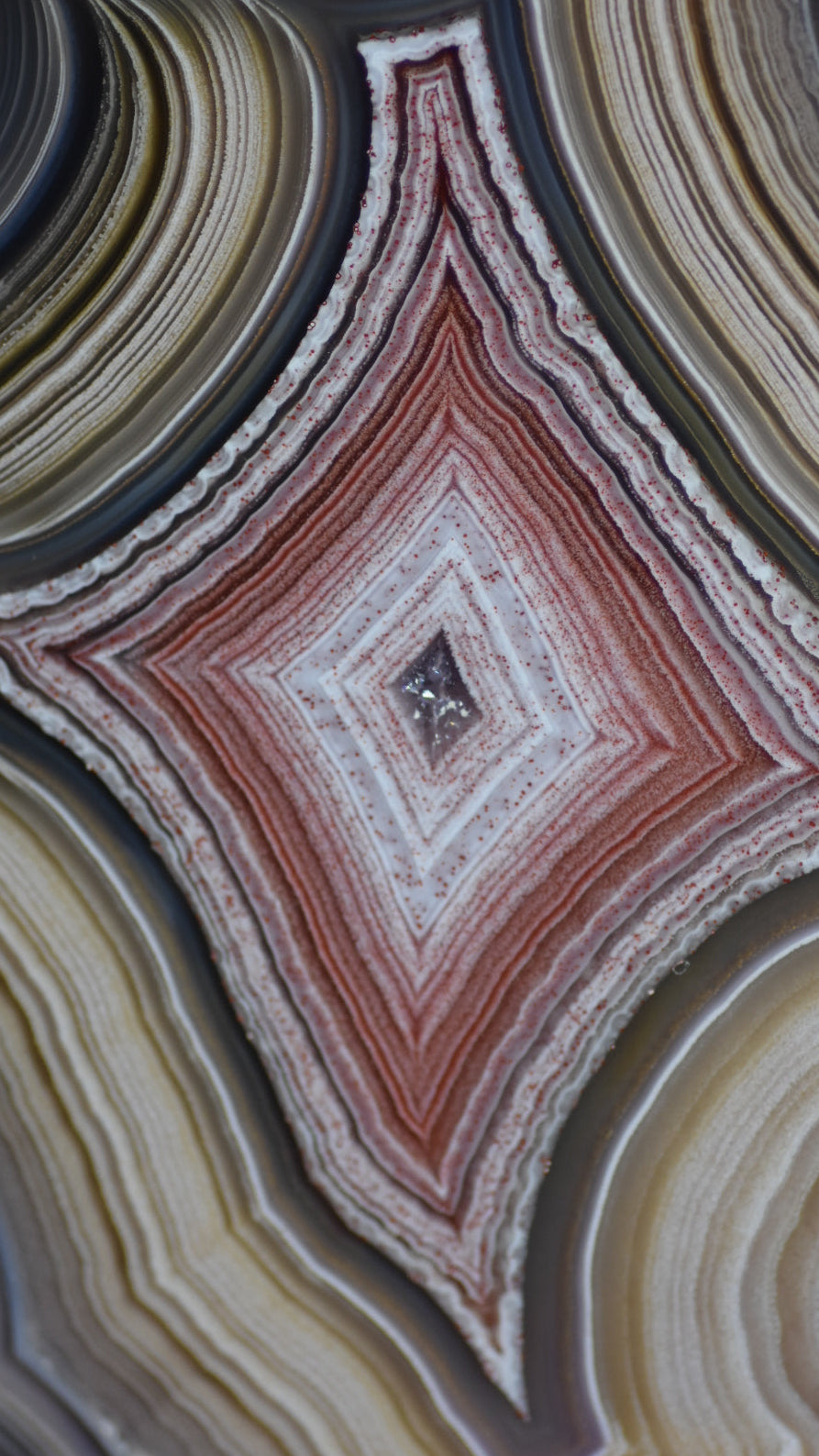 Close-up of a multicolored agate stone with concentric layers.