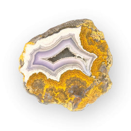 LAGUNA AGATE 003 - Del Rey Agates Gems & Minerals Inc.