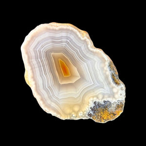 LAGUNA AGATE 004 - Del Rey Agates Gems & Minerals Inc.
