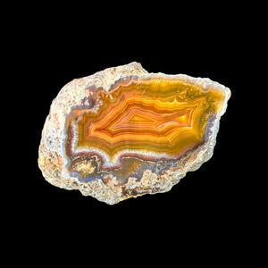 LAGUNA AGATE 005 - Del Rey Agates Gems & Minerals Inc.