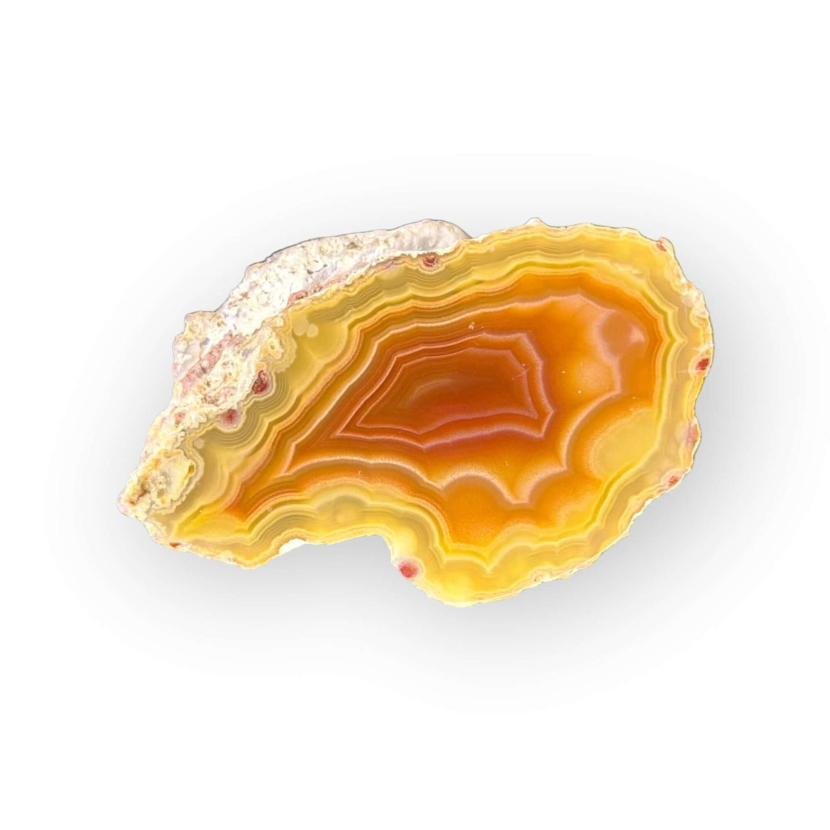 LAGUNA AGATE 008 - Del Rey Agates Gems & Minerals Inc.